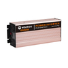 WT-P 6000W Pure Sine Wave DC TO AC Power Inverter